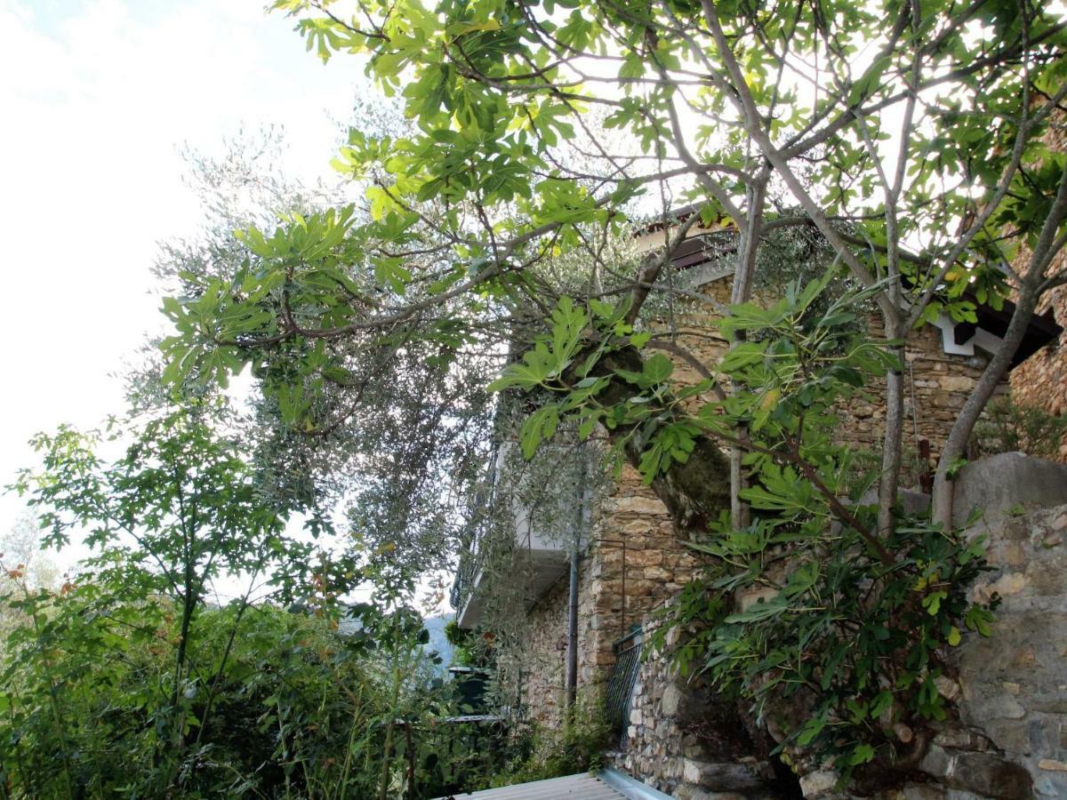 Villa Locazione Turistica Mes Mas Stellanello Esterno foto
