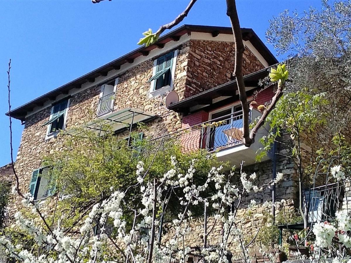 Villa Locazione Turistica Mes Mas Stellanello Esterno foto